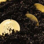 The Hidden Potential of Bitcoin