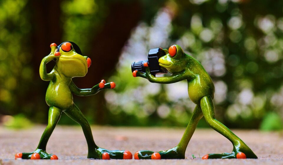Dance Music and Nightlife Fun