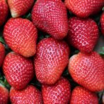 How Healthy Eating Boosts Your Creativity