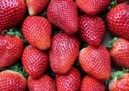 How Healthy Eating Boosts Your Creativity