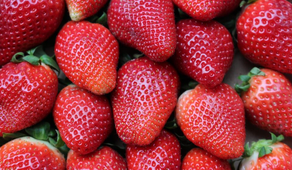 How Healthy Eating Boosts Your Creativity