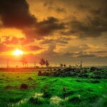 Morning Routines That Boost Your Productivity