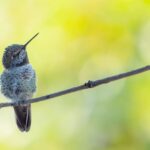 Anna WInlet: What’s New Since 2025?