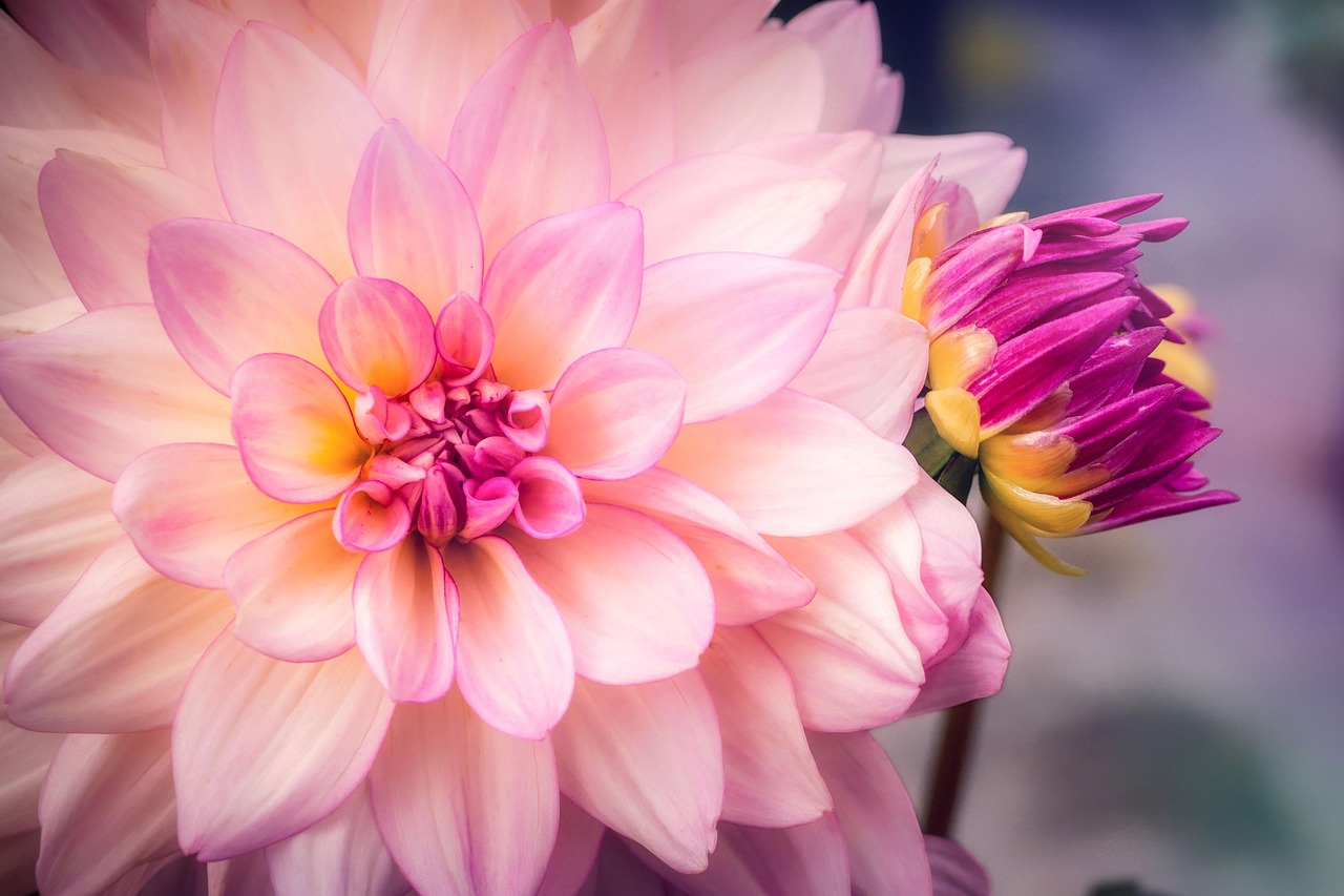 Bone Blossom: Grow a Garden That Astounds