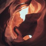 flutter vs react native