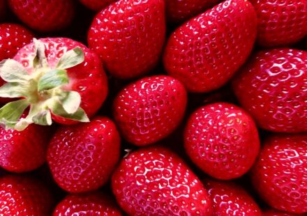 healthy living 2026