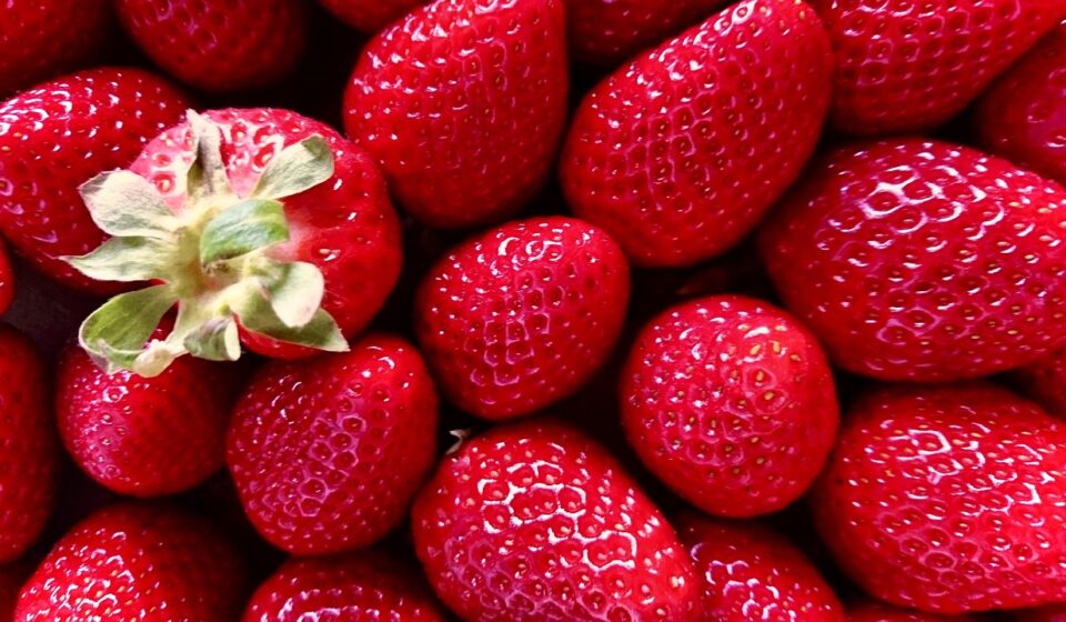 healthy living 2026