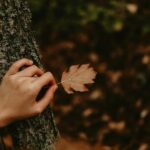 leave one out cross validation diagram