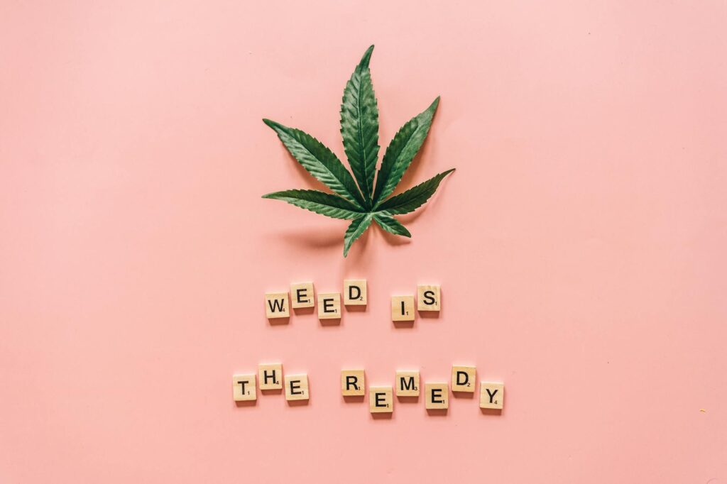 Mary Meaning: Slang, Origins & Modern Use in 2026