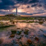 Mary Beougher business strategy