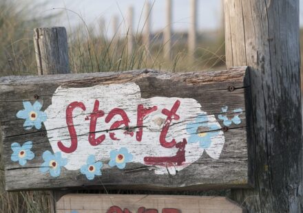 movies that start with e