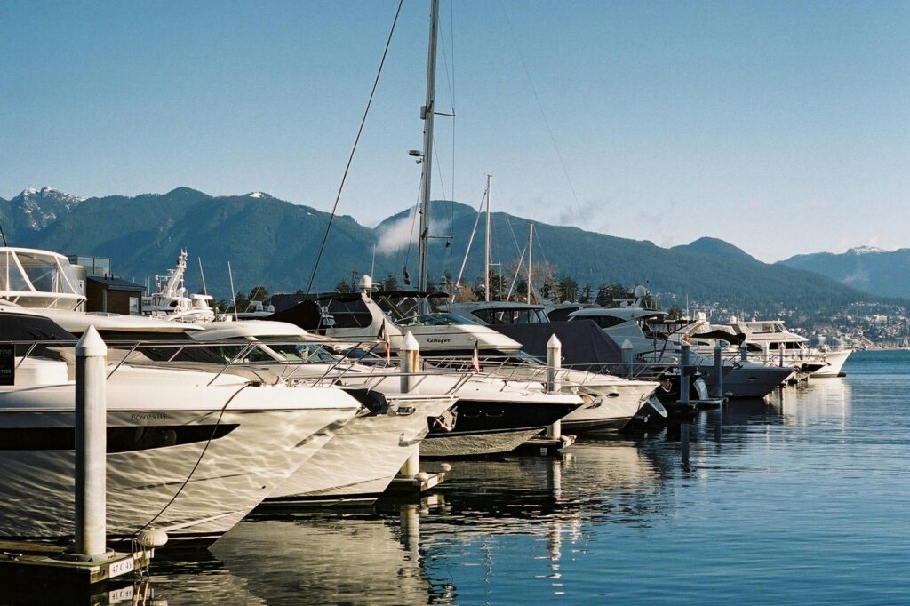 nancy harbour portrait