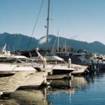 nancy harbour portrait