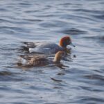 Penelope Keith family
