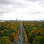 Princes Avenue Toxteth