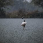 Roblox Builderman character concept art