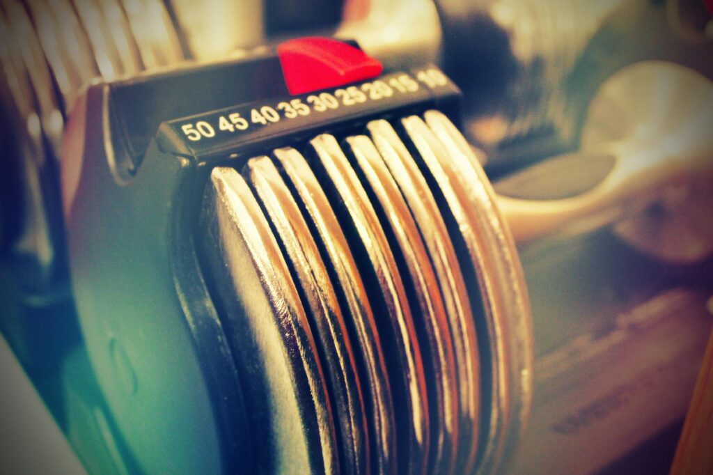 adjustable dumbbells workout