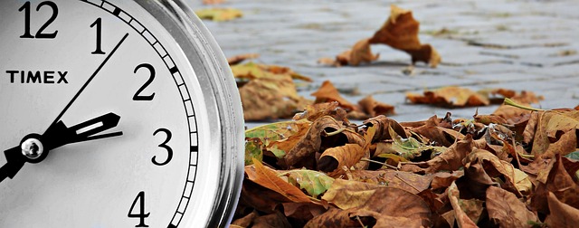 Calendar showing Daylight Saving Time dates highlighted