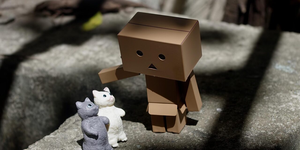 cat playing with toy