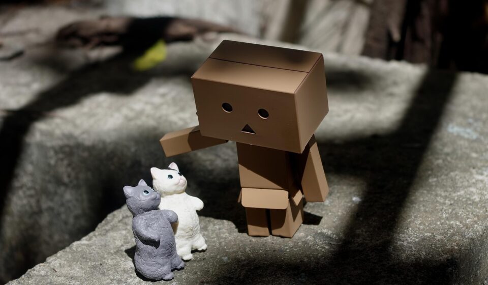 cat playing with toy