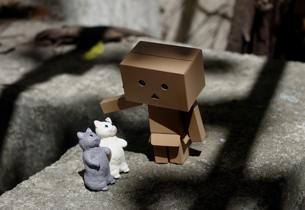 How to Entertain Cats: Beyond Basic Toys in 2026