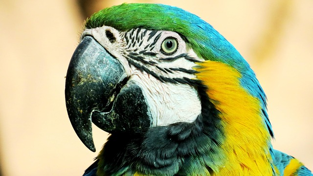 Example of a DALL-E 3 generated image with clear prompt adherence