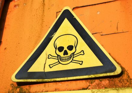 fake website warning signs