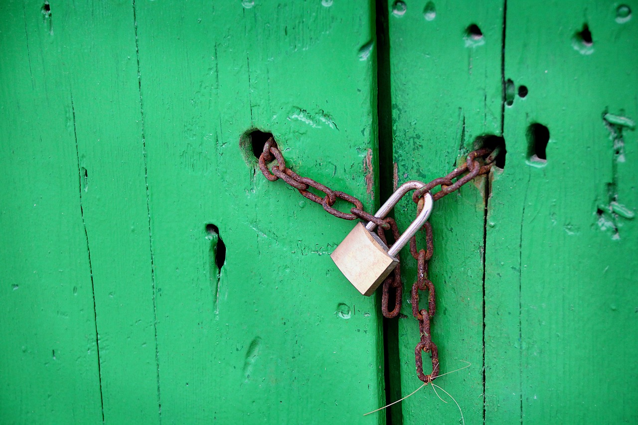 Security Issues in IoT: Navigating Risks and Fortifying