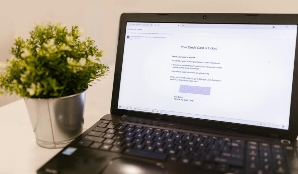 online security risks