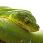 python code on screen