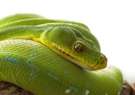 python code on screen