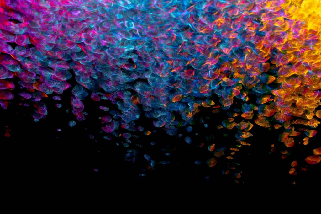 pytorch softmax visualization