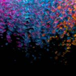 Torch.softmax Explained: Probabilities in PyTorch 2026