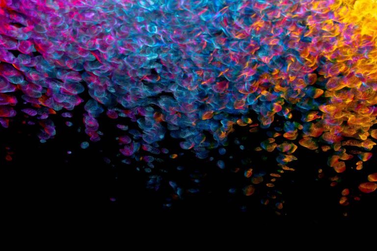 pytorch softmax visualization