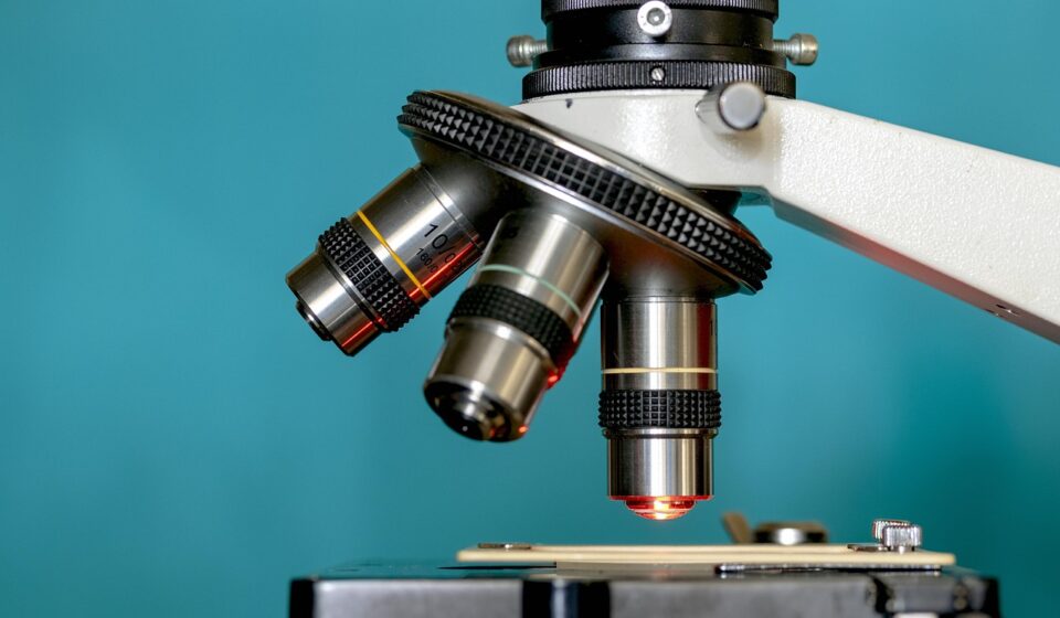 AI research tools comparison