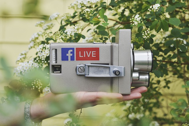 Screenshot of Facebook Live Producer interface showing stream key and settings