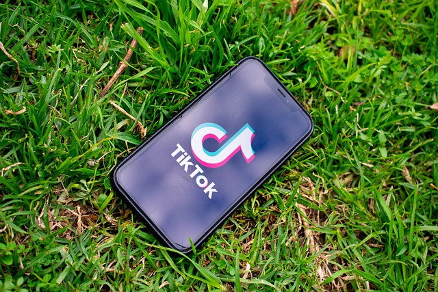 Screenshot of the TikTok app's text input field with a pasted emoji code