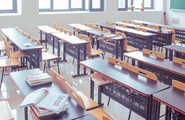 Student using Grammarly on an essay draft