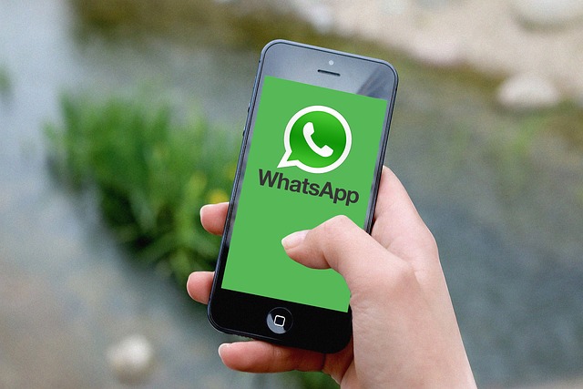 WhatsApp chat interface with encryption status indicator