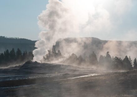Yellowstone ranch