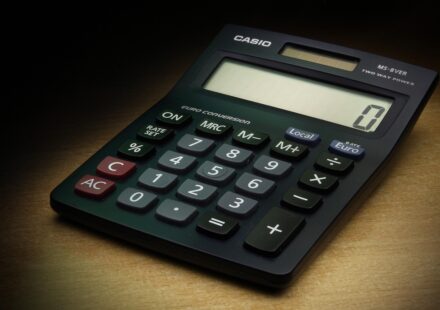 age calculator interface