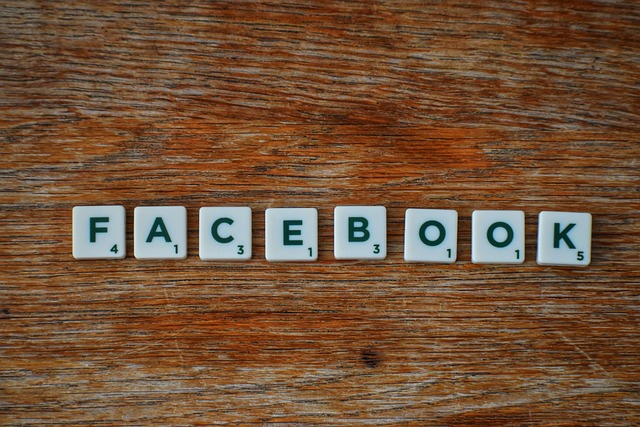 Comparison chart for Facebook Reel downloader features