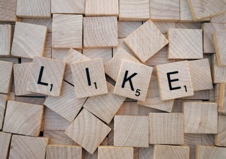 facebook reels download interface