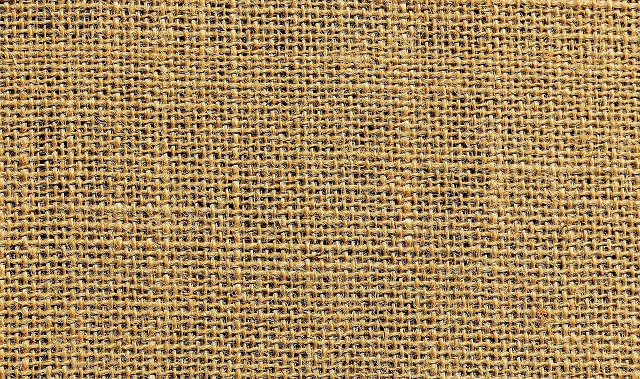 Lyocell Fabric: A 2026 Guide to Sustainable Style