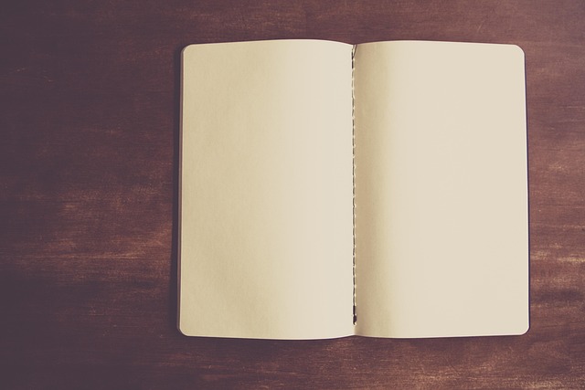 Person looking at a planner with time blocks for work, rest, and hobbies