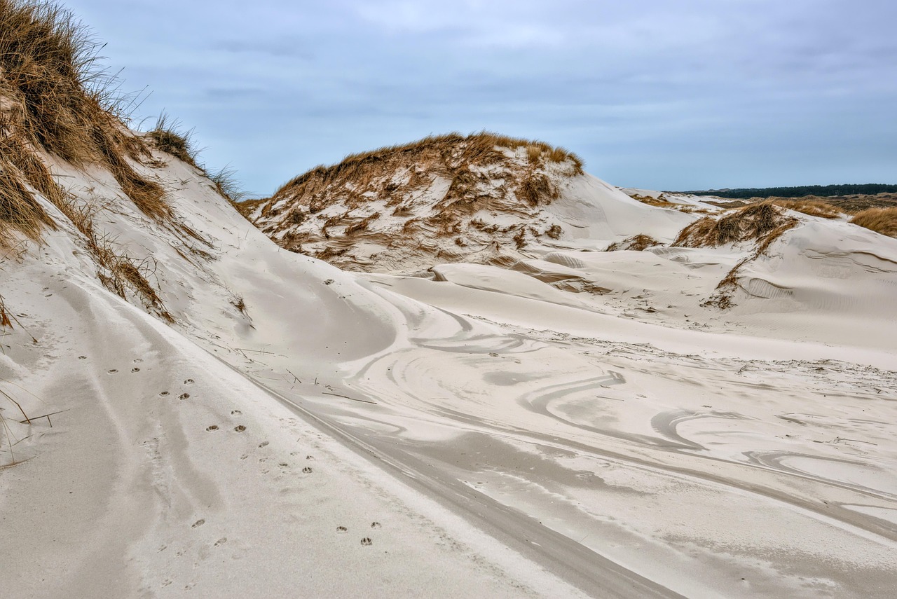 This Is Sand: Your 2026 Guide to Digital Relaxation